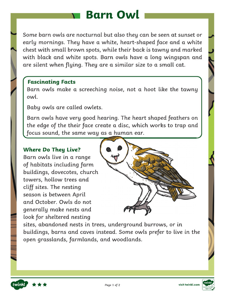 Barn Owls Reading Comprehension Activity Ver 3 PDF