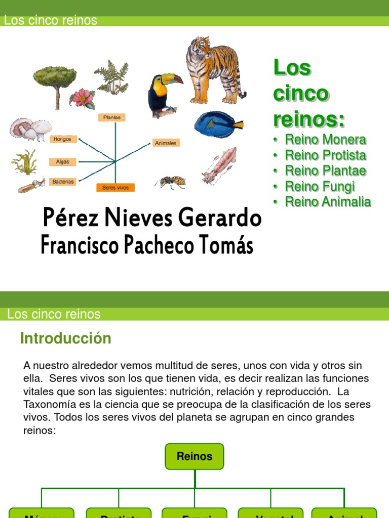 5 Reinos | PDF | Plantas | Hongo