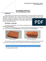 ATIVIDADE PRATICA - Fisica Termodinamica e Ondas - Empuxo 