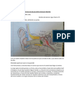 Evaluacion N°2 Sentidos AgusPizarro