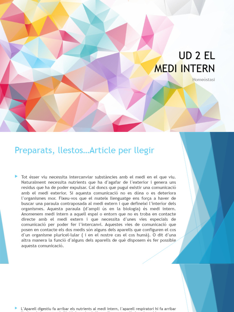 Ud 2 El Medi Intern Debora | PDF