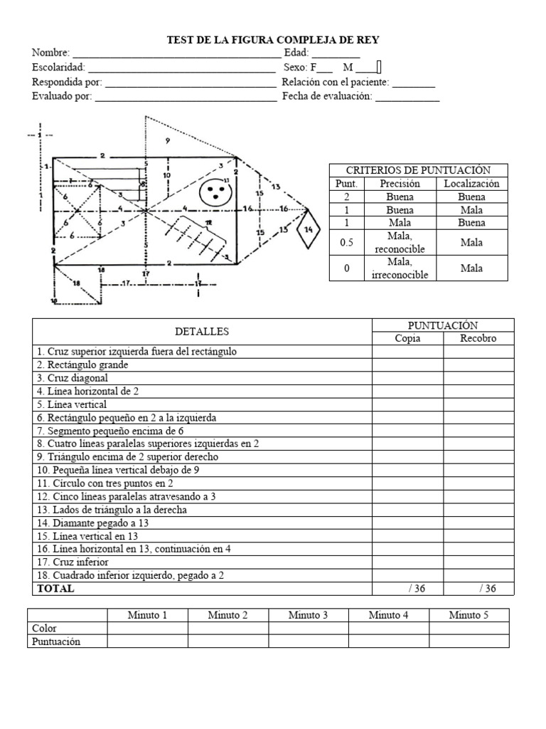 Test de Figura Compleja de Rey: Evaluación | PDF