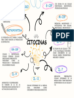 Mapa Mental 1.5.3. Propiedades Generales de Citocinas y Quimiocinas