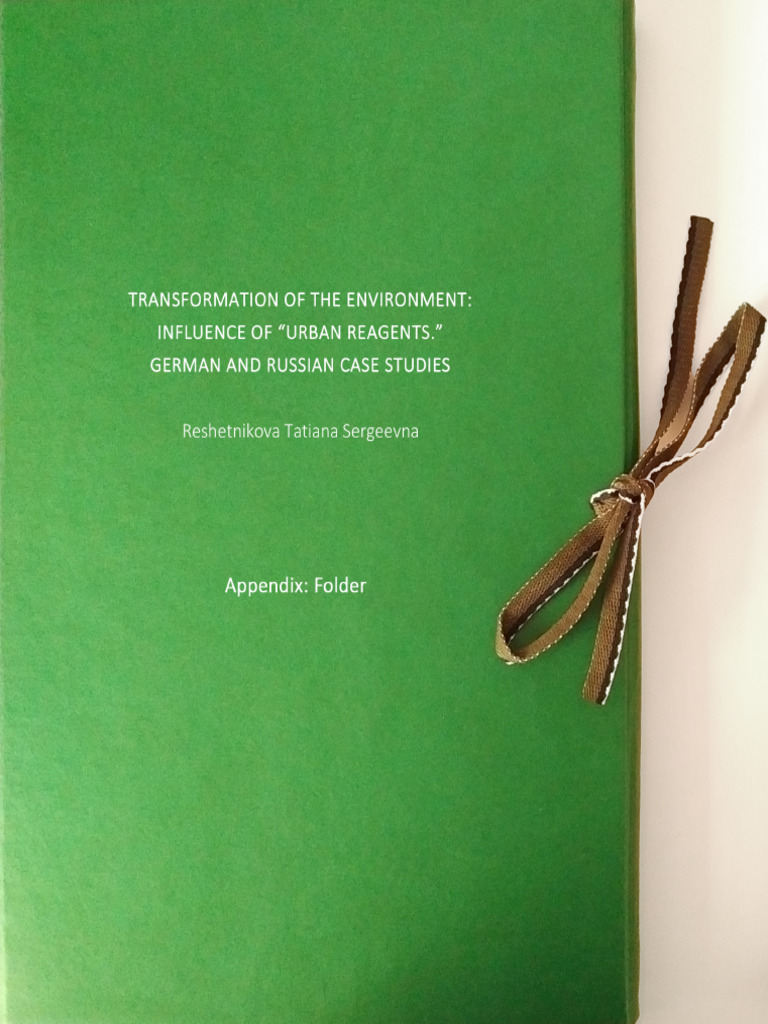Appendix Folder Urban Reagent Reshetnikova | PDF | Doctor Of Philosophy ...