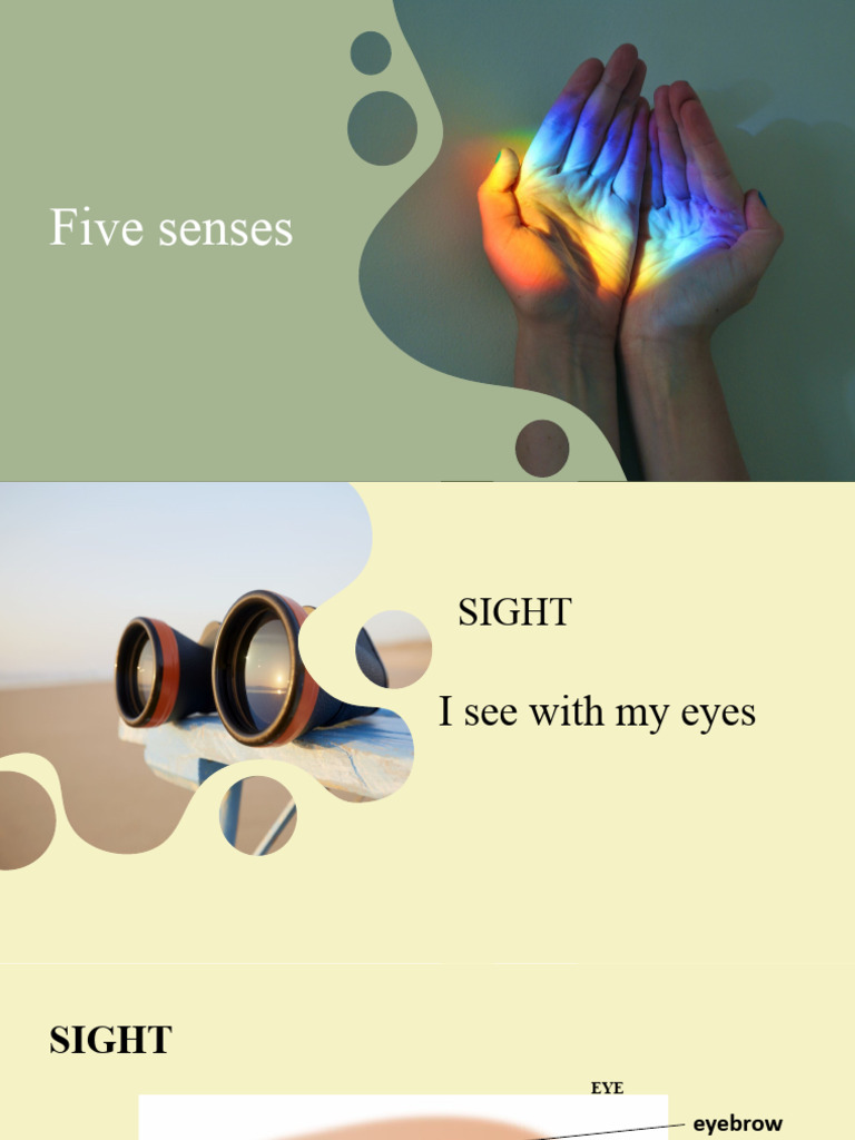 Five Senses Pdf
