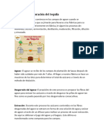 Proceso de Elaboración Del Tequila