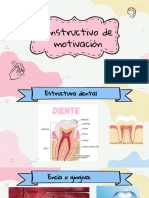 Instruct Ivo