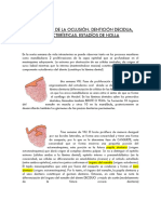 Denticion Decidua - Expo