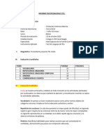 Informe Modelo Test Del Rio