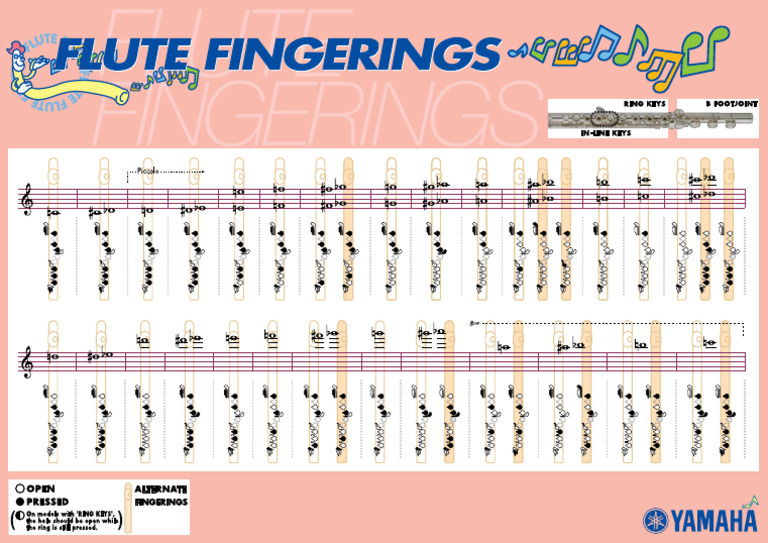 Flauta Transversal Tabela De Posições Pdf