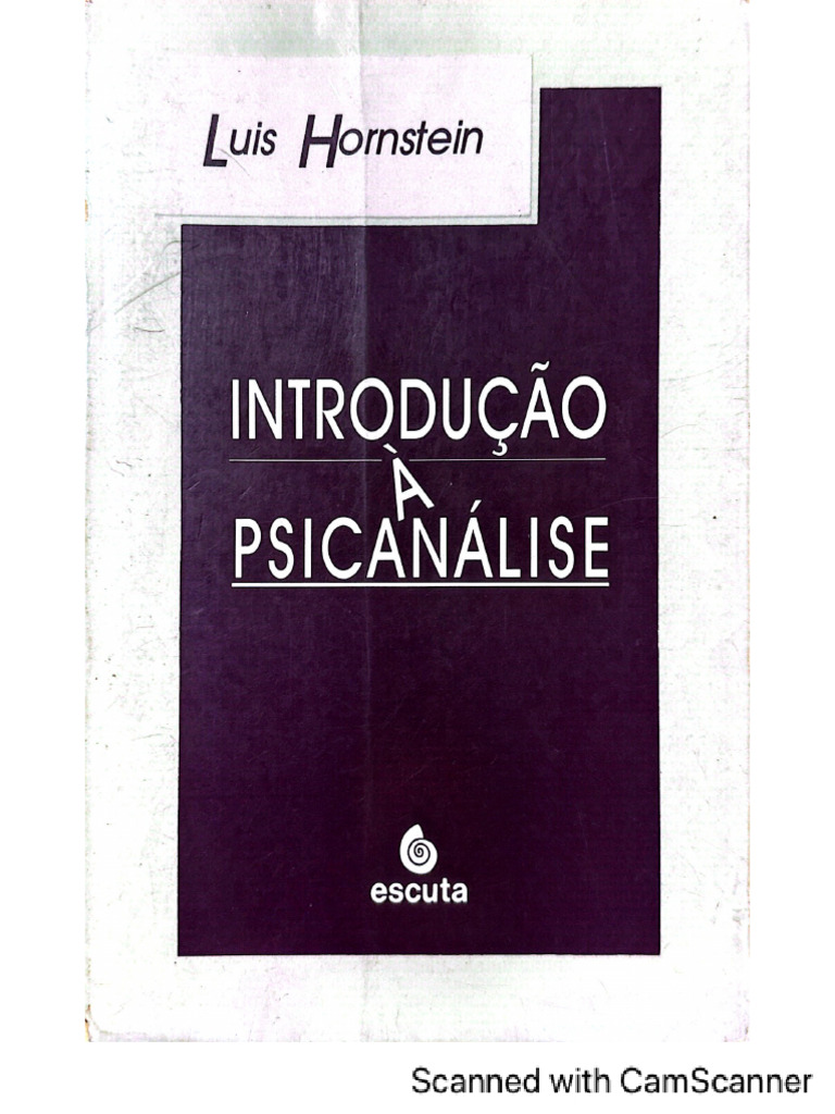 24.2 HORNSTEIN, L. Introdução à psicanálise, cap. 7 Teoria do sonho