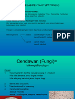 Perlintan 3 Penyebab Penyakit