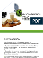 Microorganismos para La Fermentación-Resumen