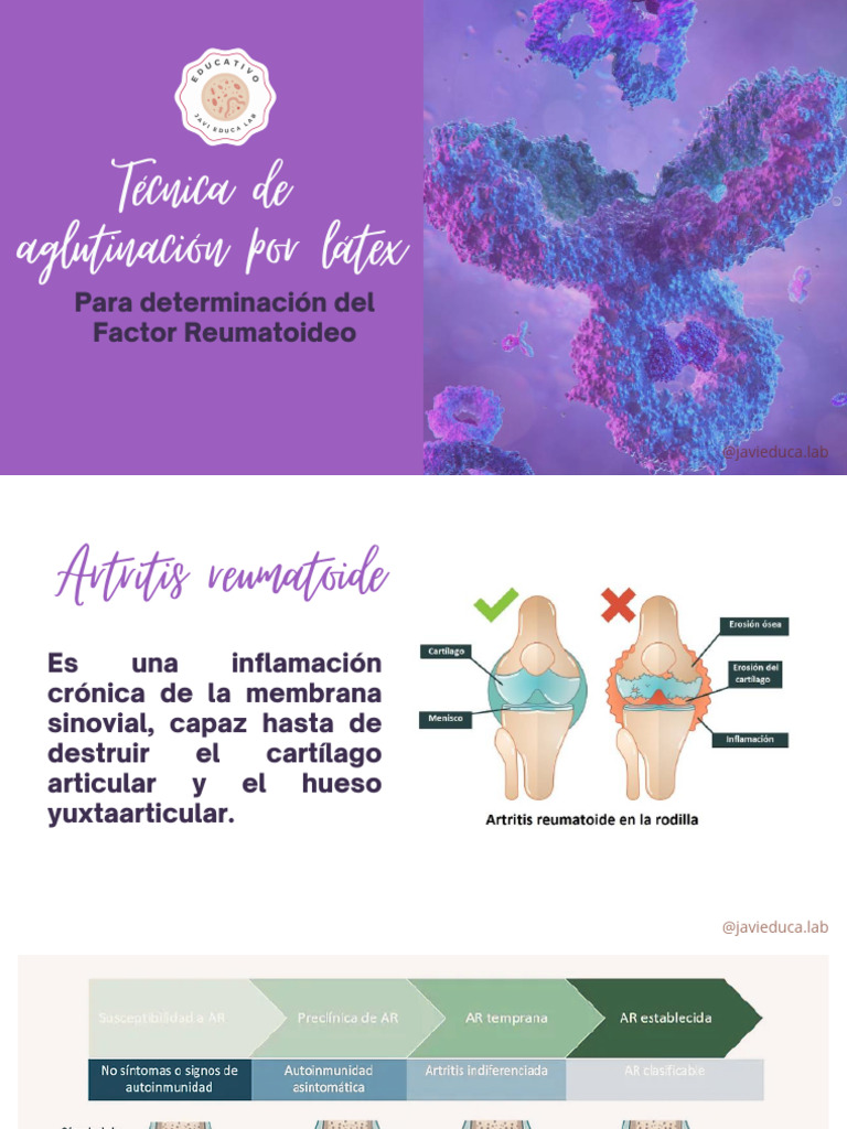 fr-por-l-tex-pdf-anticuerpo-medicina