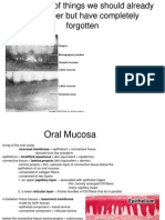 DH156 Lecture 3 Oralmucosa