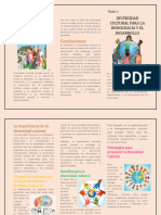 TEMA 4-Diversidad Cultural para La Democracia y El Desarrollo