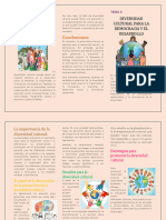 TEMA 4-Diversidad Cultural para La Democracia y El Desarrollo