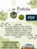 Presentación Reino Protista