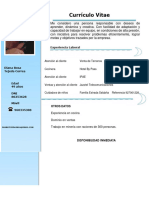 CV Diana PDF
