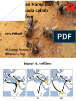 Pengelolaan Hama Dan Penyakit Pada Lebah Apis Mellifera1