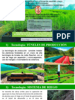 Proyecto FORESTAL