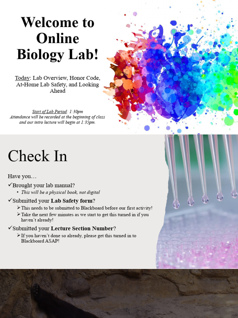 Online Biology Lab Orientation | PDF | Plagiarism