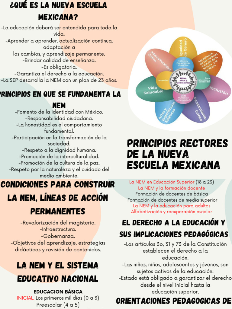 Principios Rectores de la NEM | PDF | Educación de la primera infancia ...