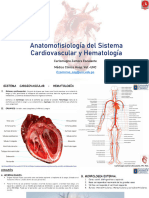 Anatomofisiologia Del Sistema Cardiovascular y Hematologia