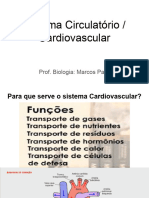  Cardiovascular