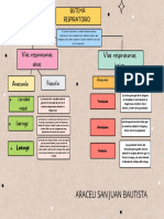 Sistema Respiratorio..