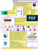 Apendicitis Aguda Flashcard GPC Enarm