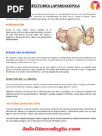 Legrado Uterino Instrumentado y Aspiracion Mecanica Endouterina | PDF ...