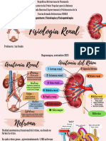 Fisiología Renal