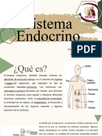 Sistema Endocrino