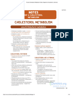 03 Fat and Cholesterol Metabolism Notes - Diagrams Illustrations - Osmosis