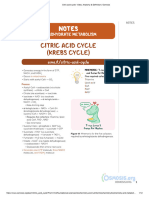 02 Citric Acid Cycle - Video Anatomy Definition - Osmosis