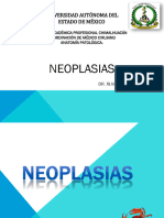 5 - 1 Patologia Neoplasica 1 2023B
