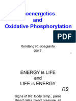 6 Bioenergetics and Oxidative Phosphorylation