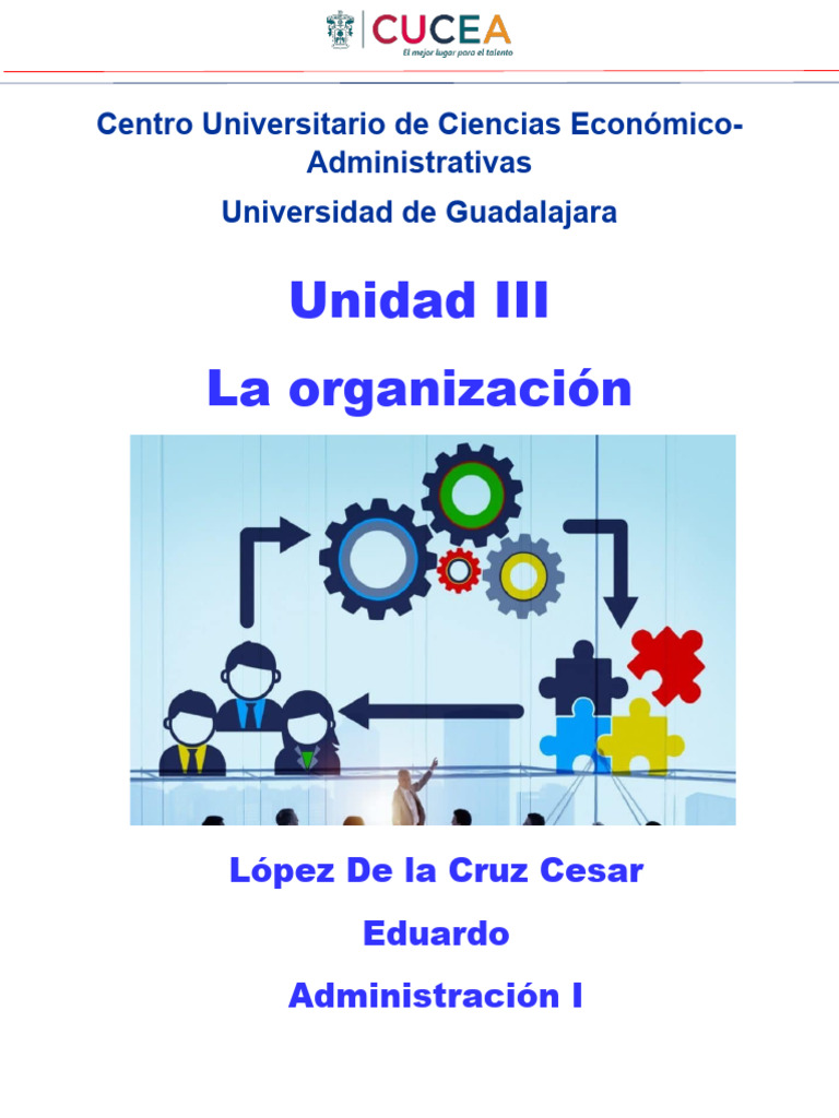 Unidad 3-Organización - LCCE | PDF | Business | Division de trabajo