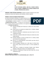 Anuncio de Medios Probatorios - Armando Sanchez Rodríguez