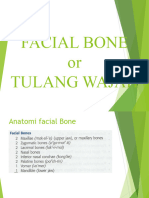 Tulang Wajah Dan Temporal