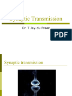 Synaptic Transmission 4