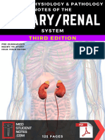 Urinary Renal System Notes - 3rd Ed