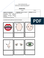 Dictado Visual Partes Del Rostro