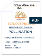 Kvmzupollinationproject