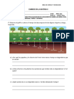 Ficha - Cambios en La Materia Ii