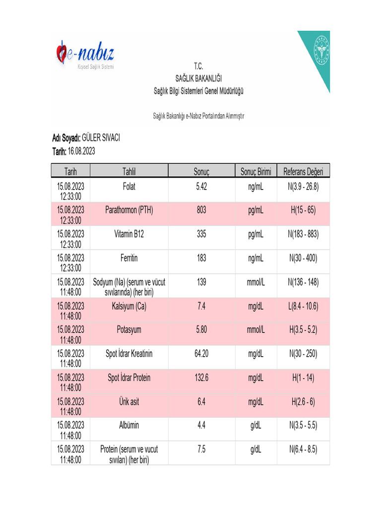 Enabiz Tahlilleri PDF