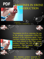 Vaccination Schedule For Pigs Manual - Thomson Zulu | PDF | Pig ...