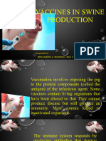 Vaccines in Swine Production