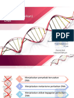 2.4 UM Repair DNA 200319